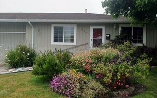 Detail Gallery Image 4 of 32 For 807/809 University Ave, Salinas,  CA 93901 - – Beds | – Baths