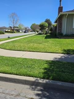 Detail Gallery Image 6 of 32 For 807/809 University Ave, Salinas,  CA 93901 - – Beds | – Baths