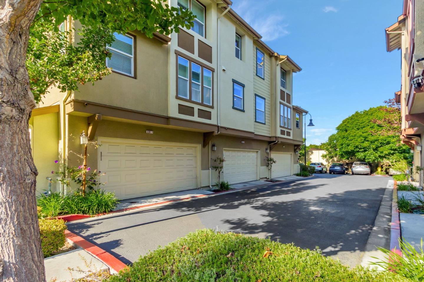 Detail Gallery Image 40 of 46 For 226 Peppermint Tree Ter #2,  Sunnyvale,  CA 94086 - 3 Beds | 3/1 Baths