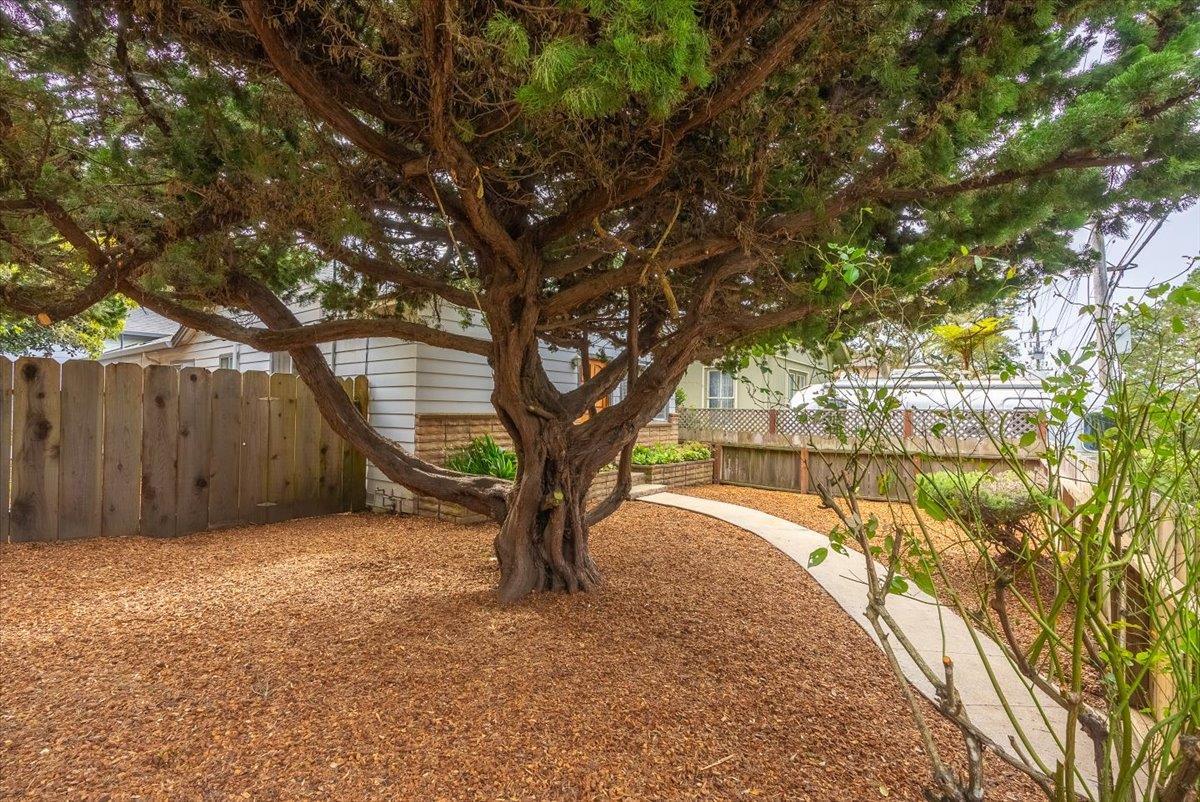 Detail Gallery Image 3 of 31 For 1201 David Ave, Pacific Grove,  CA 93950 - 3 Beds | 2 Baths