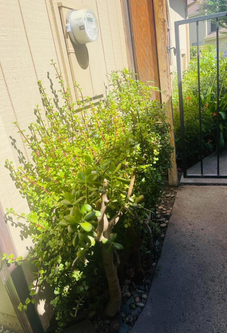Detail Gallery Image 27 of 36 For 2101 Darnis Cir, Morgan Hill,  CA 95037 - 3 Beds | 2/1 Baths