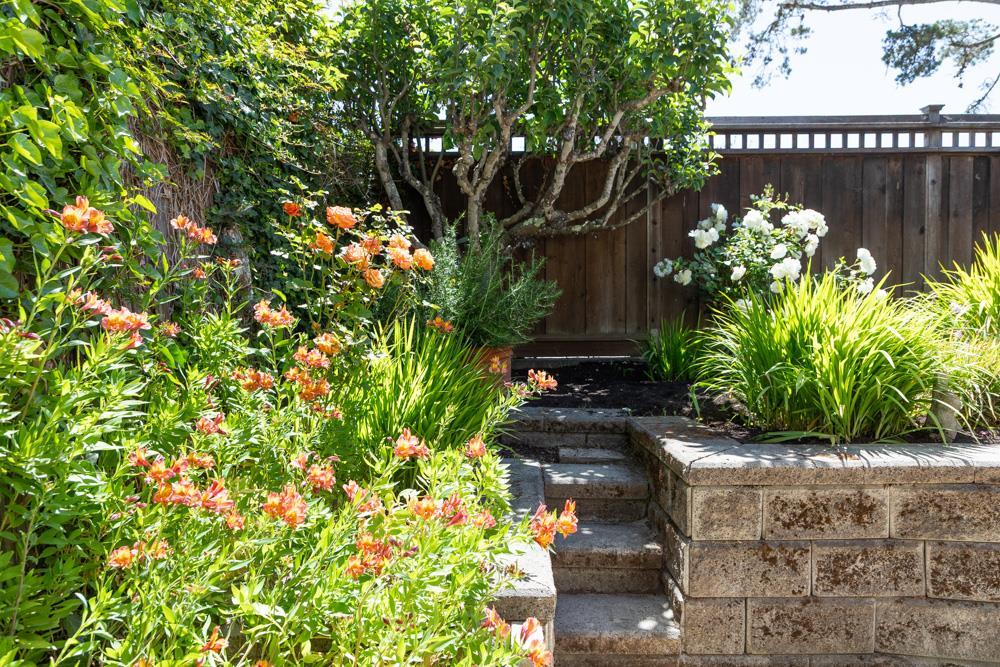 Detail Gallery Image 66 of 69 For 143 Moran Way, Santa Cruz,  CA 95062 - 3 Beds | 2 Baths