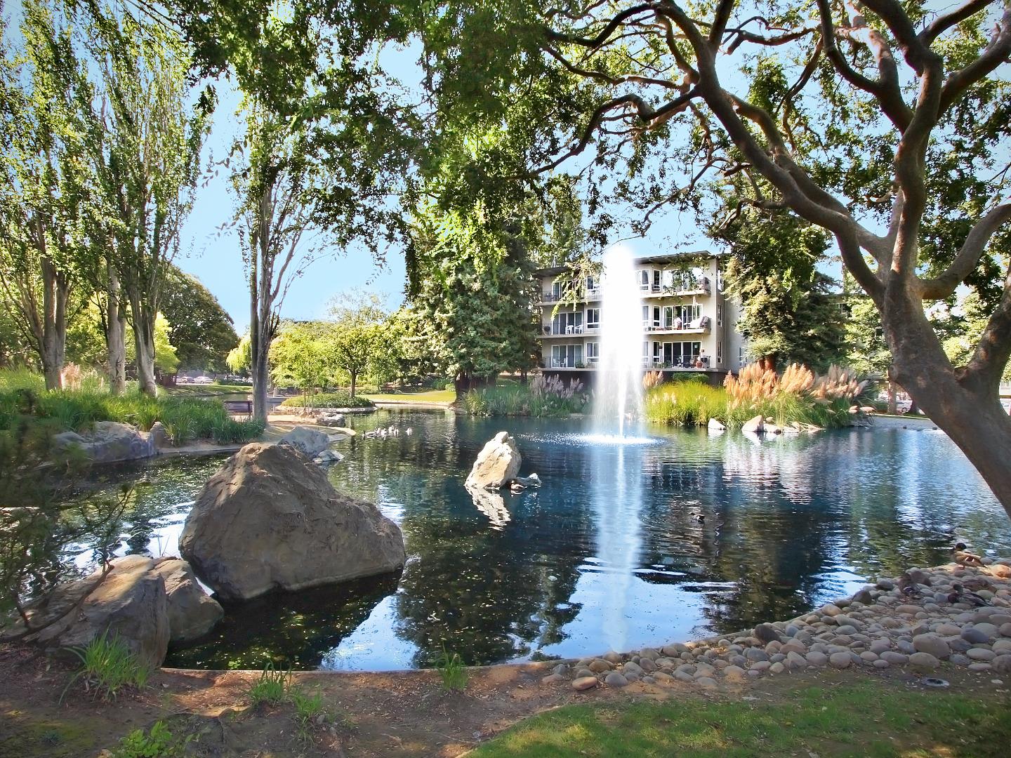 Detail Gallery Image 18 of 24 For 803 N Humboldt St #401,  San Mateo,  CA 94401 - 1 Beds | 1 Baths