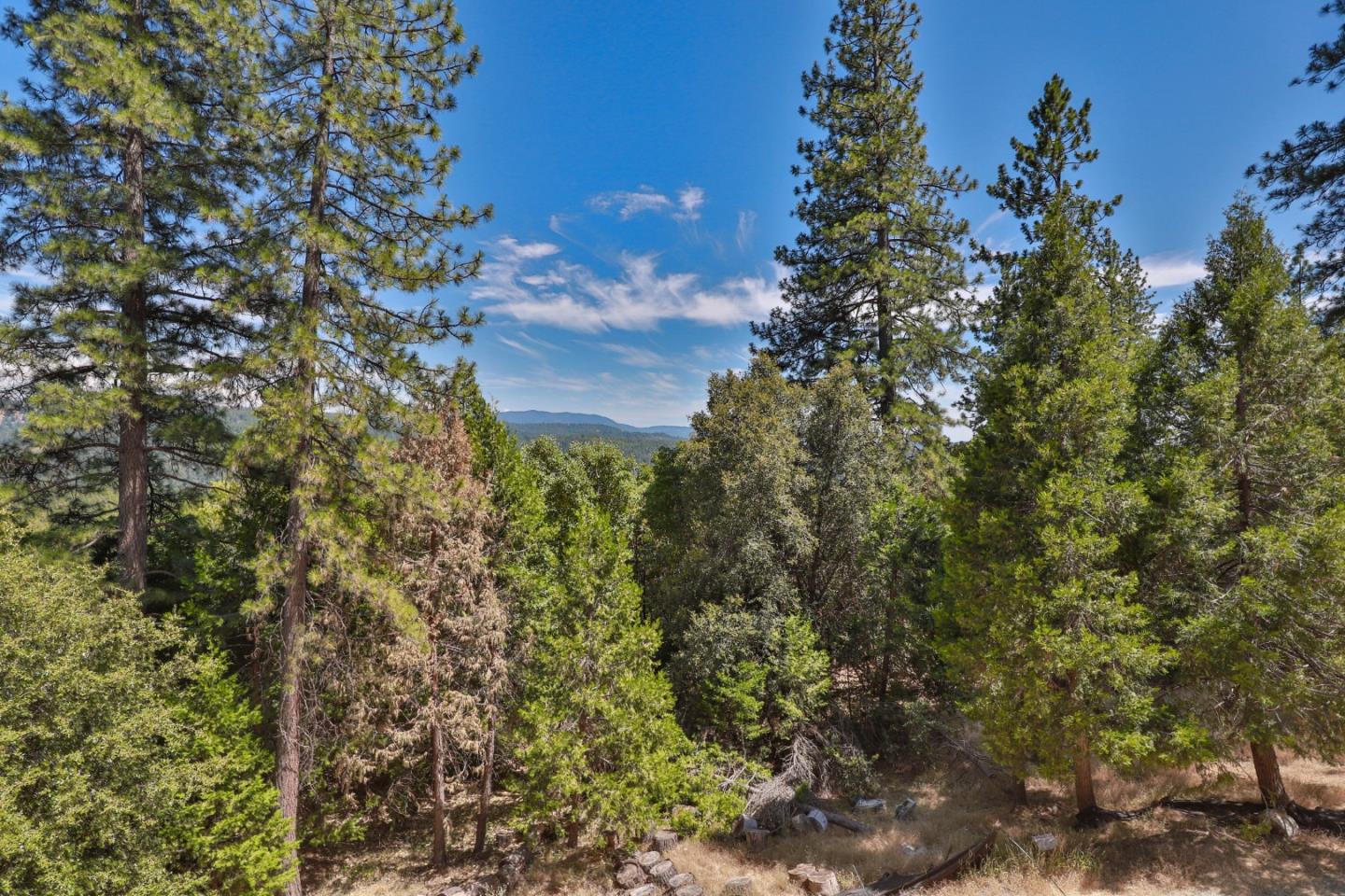 Detail Gallery Image 2 of 50 For 16271 Stephanie Way, Pioneer,  CA 95666 - 4 Beds | 3 Baths