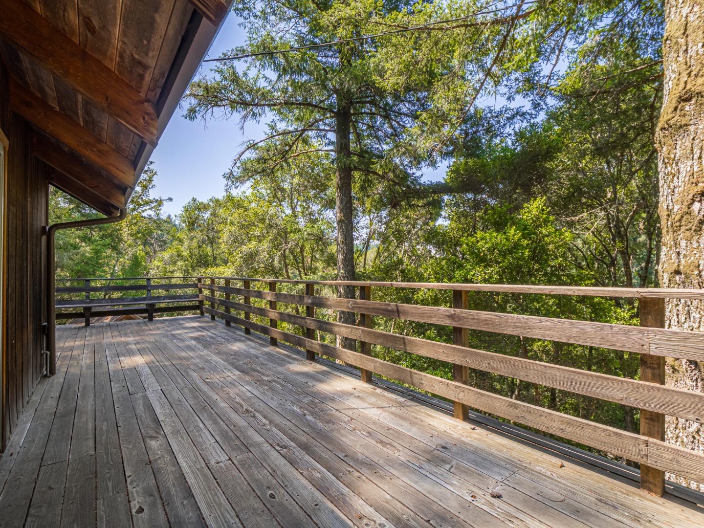Detail Gallery Image 43 of 62 For 298 Vine Hill Rd, Santa Cruz,  CA 95065 - 4 Beds | 2 Baths