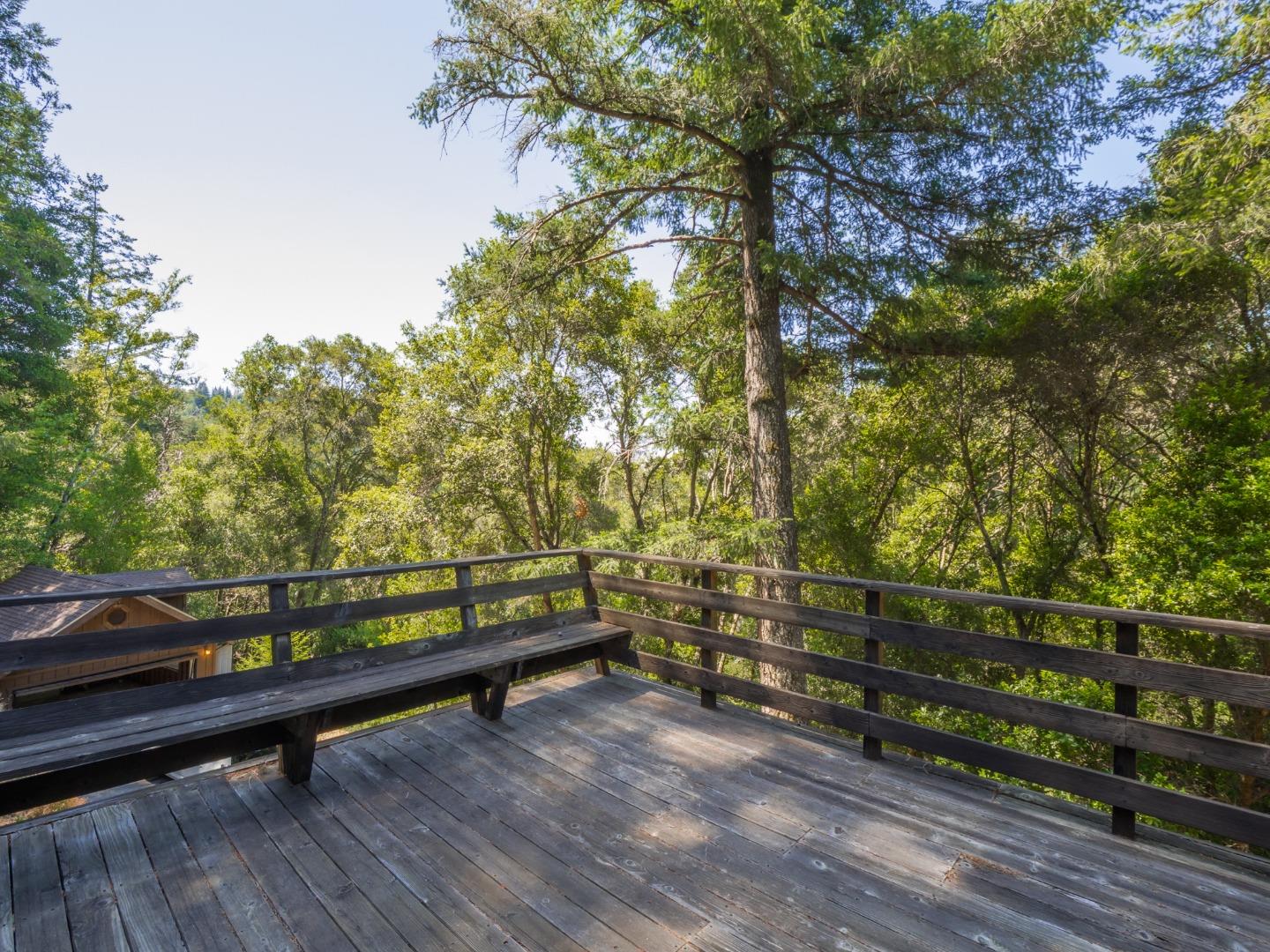 Detail Gallery Image 45 of 62 For 298 Vine Hill Rd, Santa Cruz,  CA 95065 - 4 Beds | 2 Baths