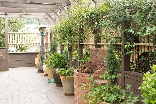 Detail Gallery Image 21 of 27 For 13300 Big Basin Way, Boulder Creek,  CA 95006 - – Beds | – Baths