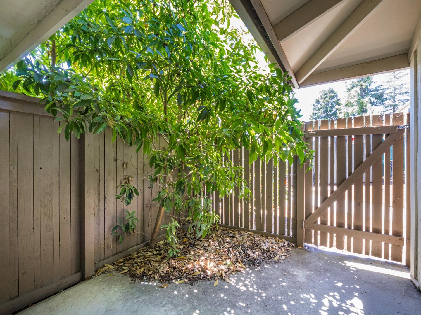 Detail Gallery Image 29 of 33 For 104 Castillion Ter, Santa Cruz,  CA 95060 - 2 Beds | 1 Baths
