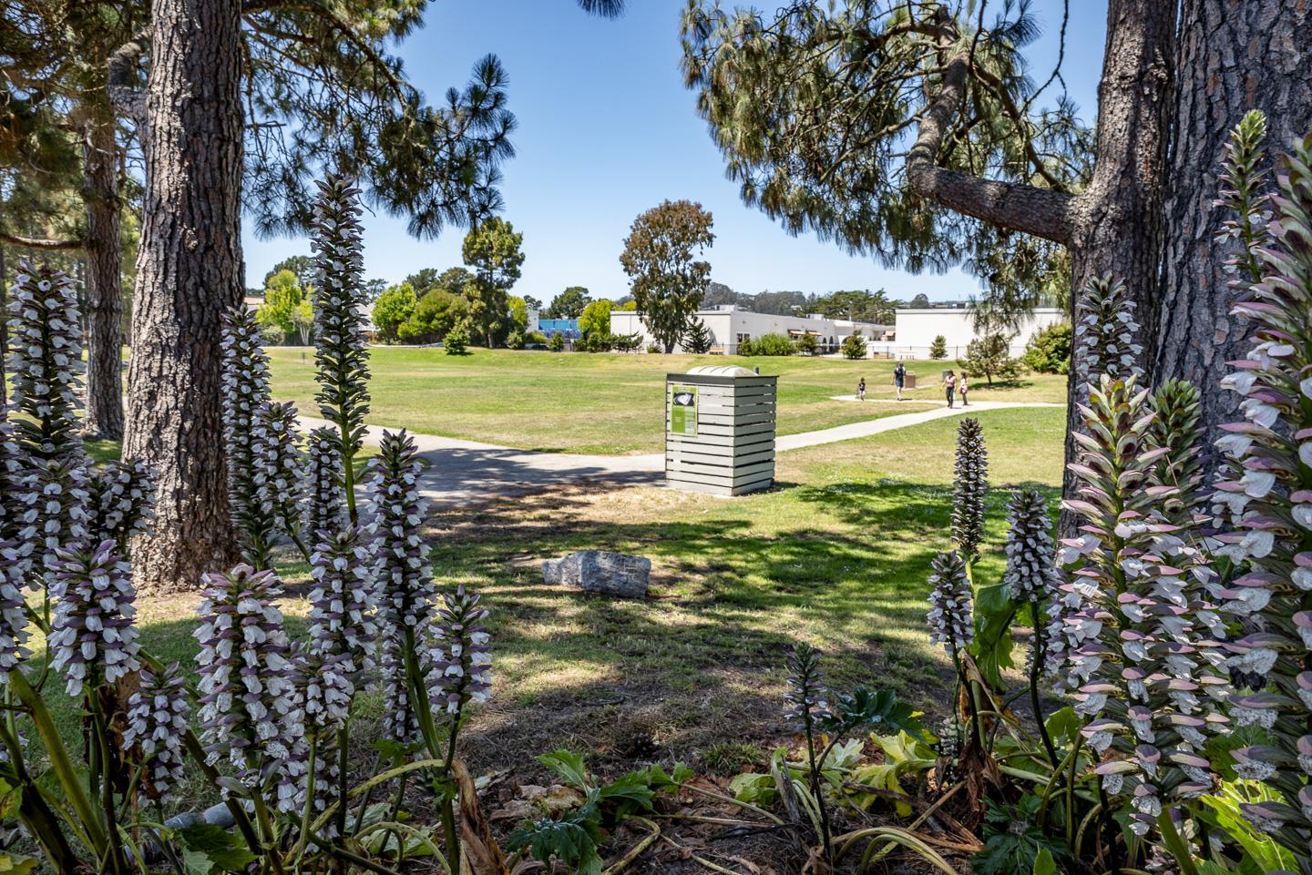 Detail Gallery Image 63 of 74 For 119 Coalinga Way, Santa Cruz,  CA 95060 - 3 Beds | 2 Baths