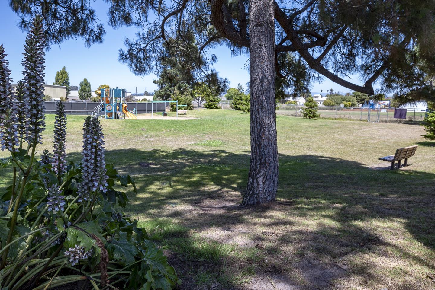 Detail Gallery Image 64 of 74 For 119 Coalinga Way, Santa Cruz,  CA 95060 - 3 Beds | 2 Baths