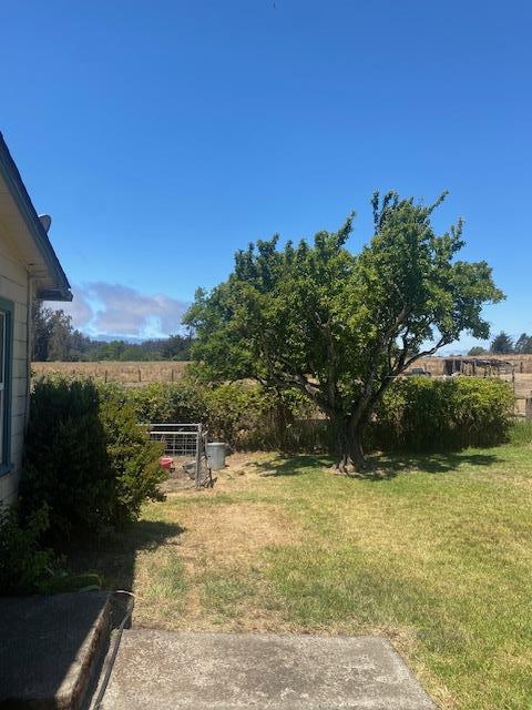 Detail Gallery Image 20 of 26 For 277 Manfre Rd, Watsonville,  CA 95076 - 3 Beds | 2 Baths