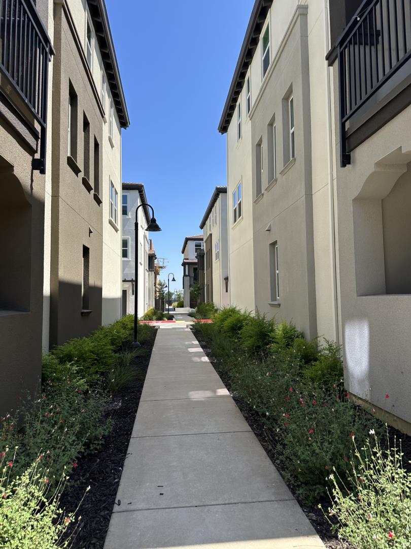 Detail Gallery Image 25 of 26 For 923 Layola Ln, Morgan Hill,  CA 95037 - 4 Beds | 3/1 Baths