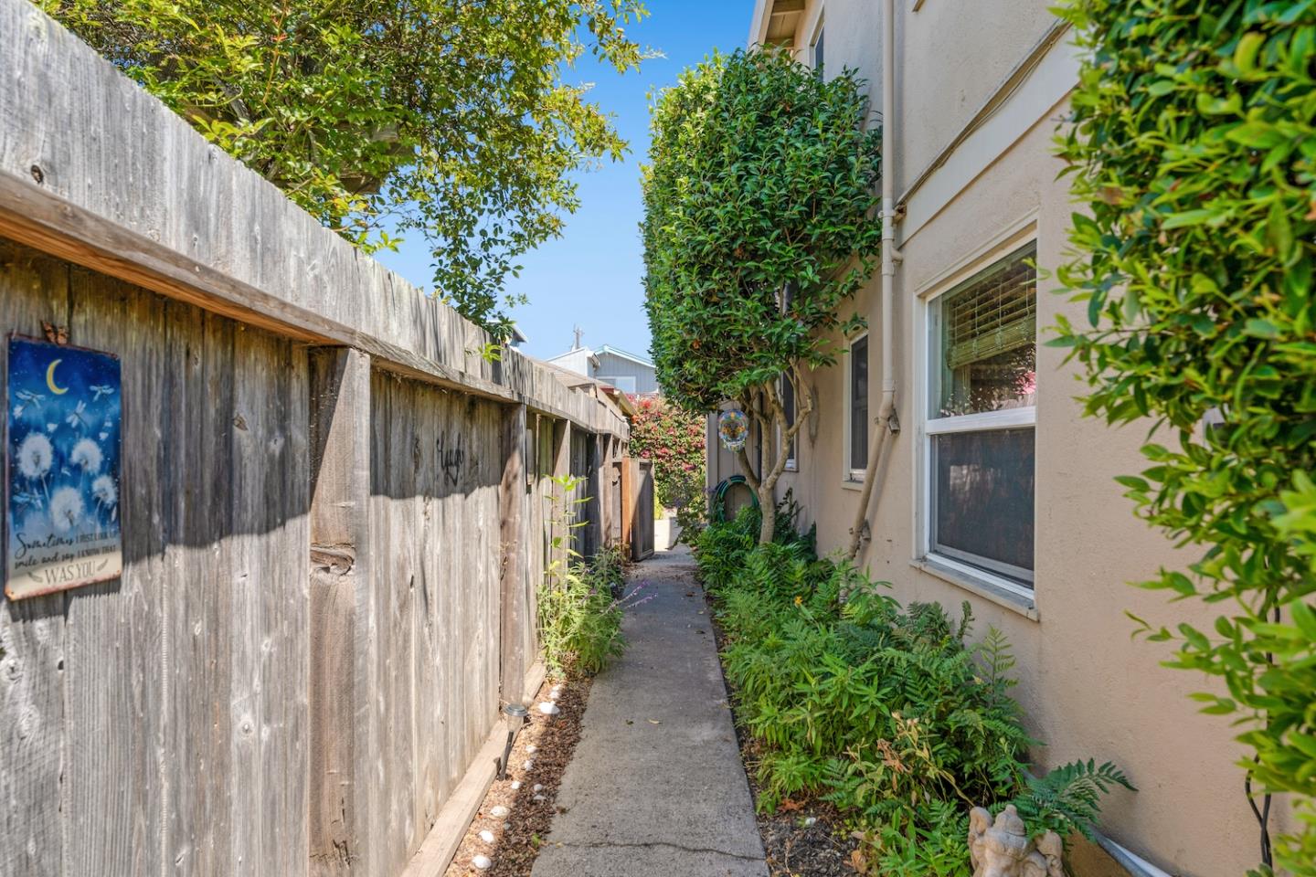 Detail Gallery Image 20 of 45 For 390 36th Ave, Santa Cruz,  CA 95062 - 4 Beds | 3 Baths