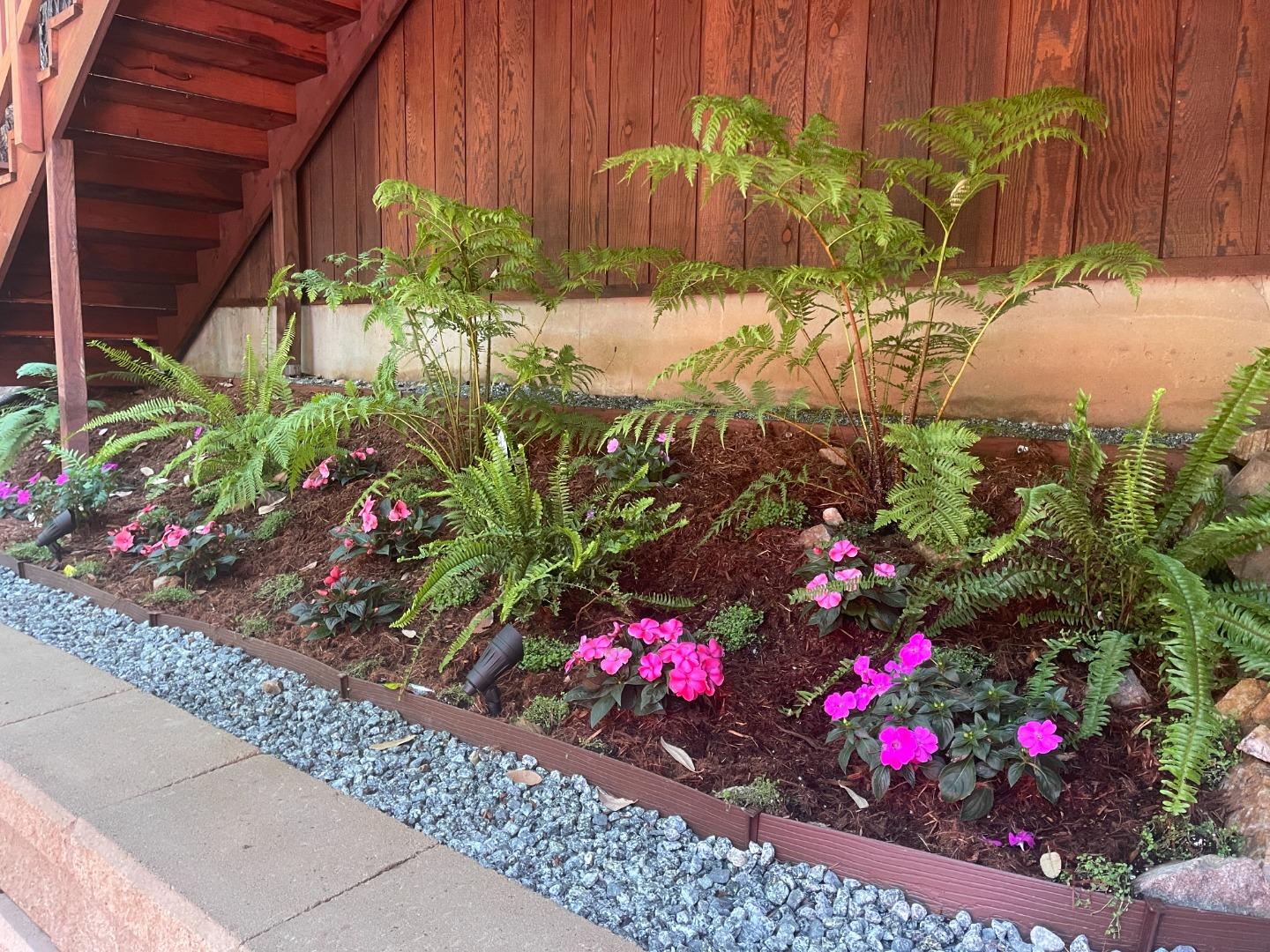 Detail Gallery Image 4 of 46 For 510 Warren Dr, Santa Cruz,  CA 95060 - 3 Beds | 2/1 Baths