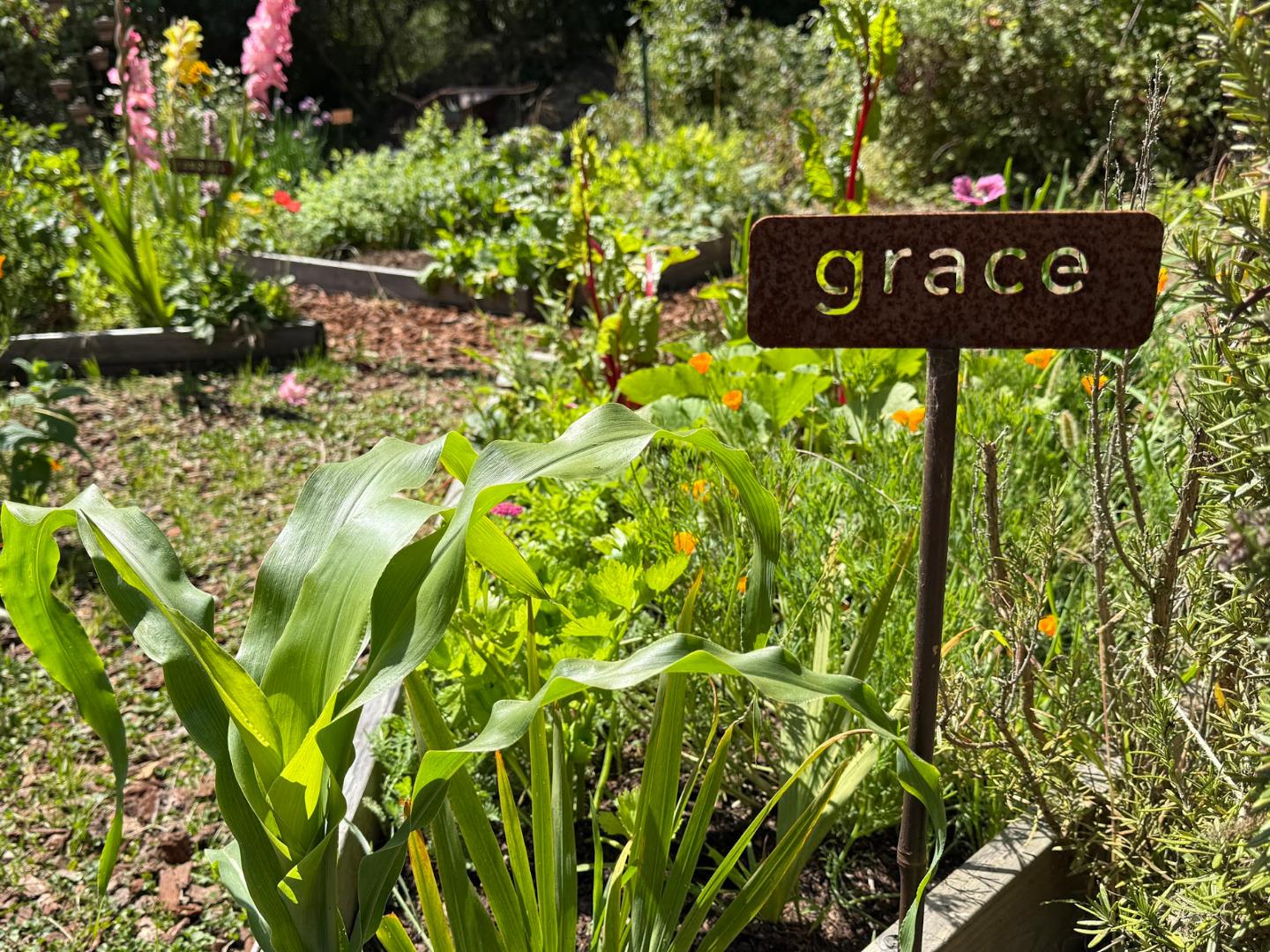 Detail Gallery Image 41 of 52 For 122 Strawberry Canyon Rd, Royal Oaks,  CA 95076 - 2 Beds | 1 Baths
