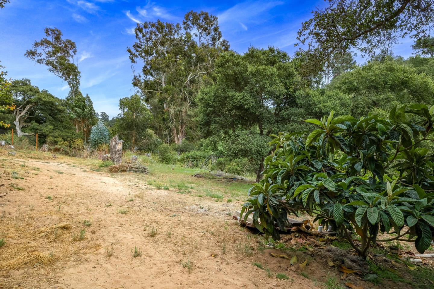 Detail Gallery Image 52 of 52 For 122 Strawberry Canyon Rd, Royal Oaks,  CA 95076 - 2 Beds | 1 Baths