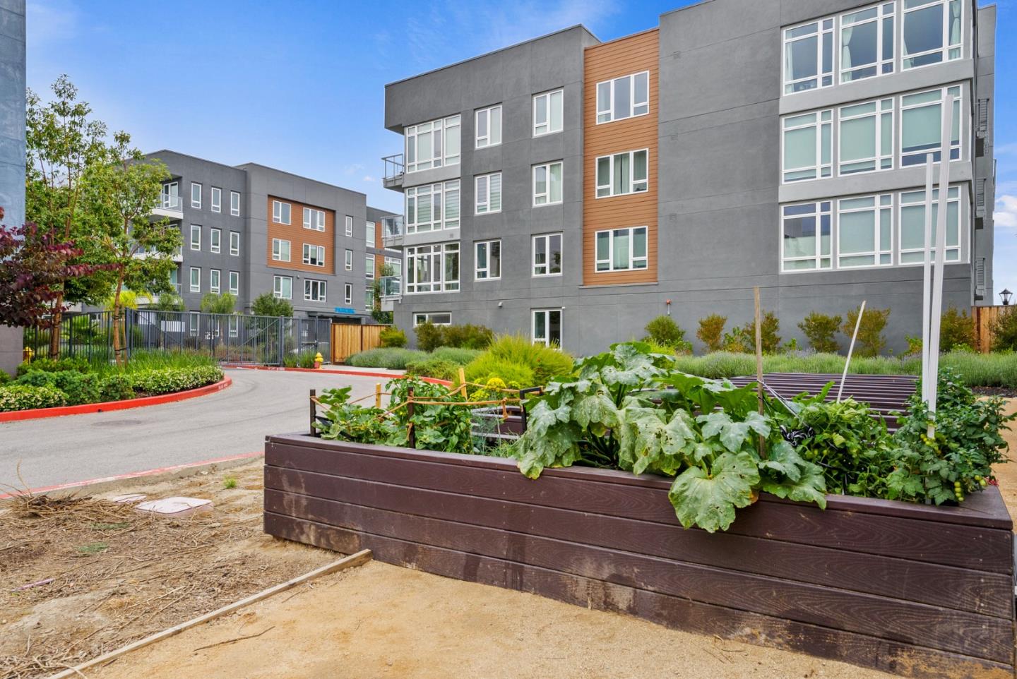 Detail Gallery Image 78 of 82 For 5925 Charlotte Dr #319,  San Jose,  CA 95123 - 3 Beds | 2 Baths