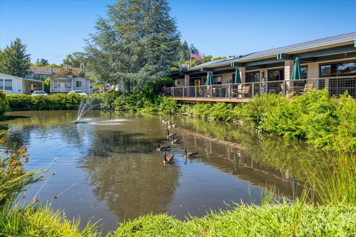 Detail Gallery Image 44 of 55 For 444 Whispering Pines Dr #18,  Scotts Valley,  CA 95066 - 3 Beds | 2 Baths