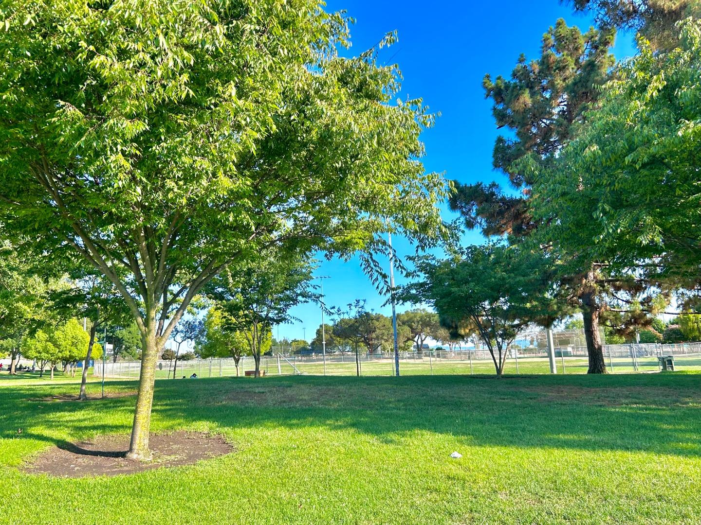 Detail Gallery Image 54 of 56 For 466 Prada Dr, Milpitas,  CA 95035 - 4 Beds | 2 Baths
