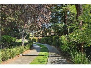Detail Gallery Image 24 of 28 For 3382 Brittan Ave #17,  San Carlos,  CA 94070 - 2 Beds | 2 Baths