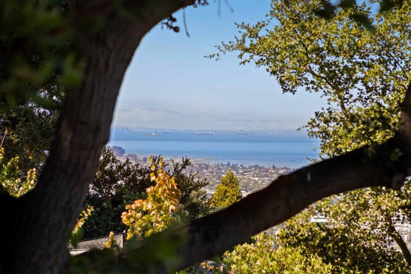 Detail Gallery Image 107 of 147 For 2310 Wooster Ave, Belmont,  CA 94002 - 3 Beds | 2 Baths