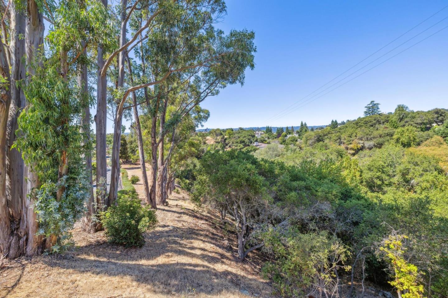 Detail Gallery Image 29 of 42 For 3902 Bret Harte Dr, Redwood City,  CA 94061 - 3 Beds | 2 Baths