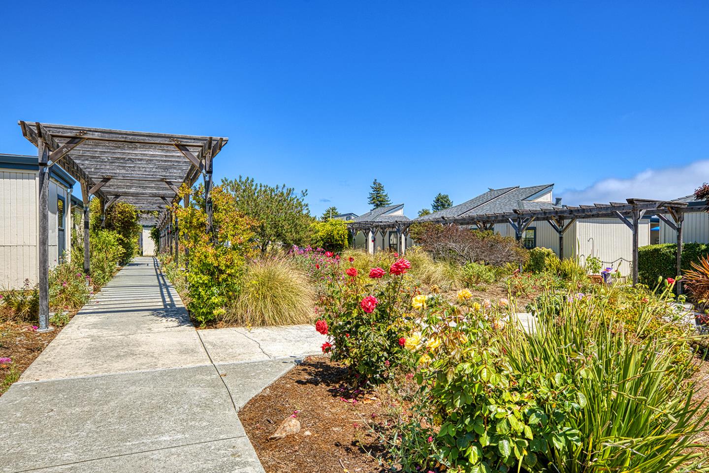 Detail Gallery Image 13 of 14 For 7th Ave, Santa Cruz,  CA 95062 - 1 Beds | 1 Baths