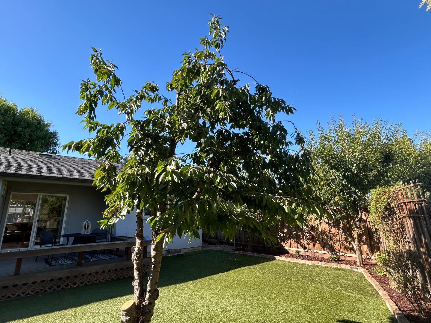 Detail Gallery Image 39 of 43 For 120 El Toro Ct, Morgan Hill,  CA 95037 - 3 Beds | 2 Baths