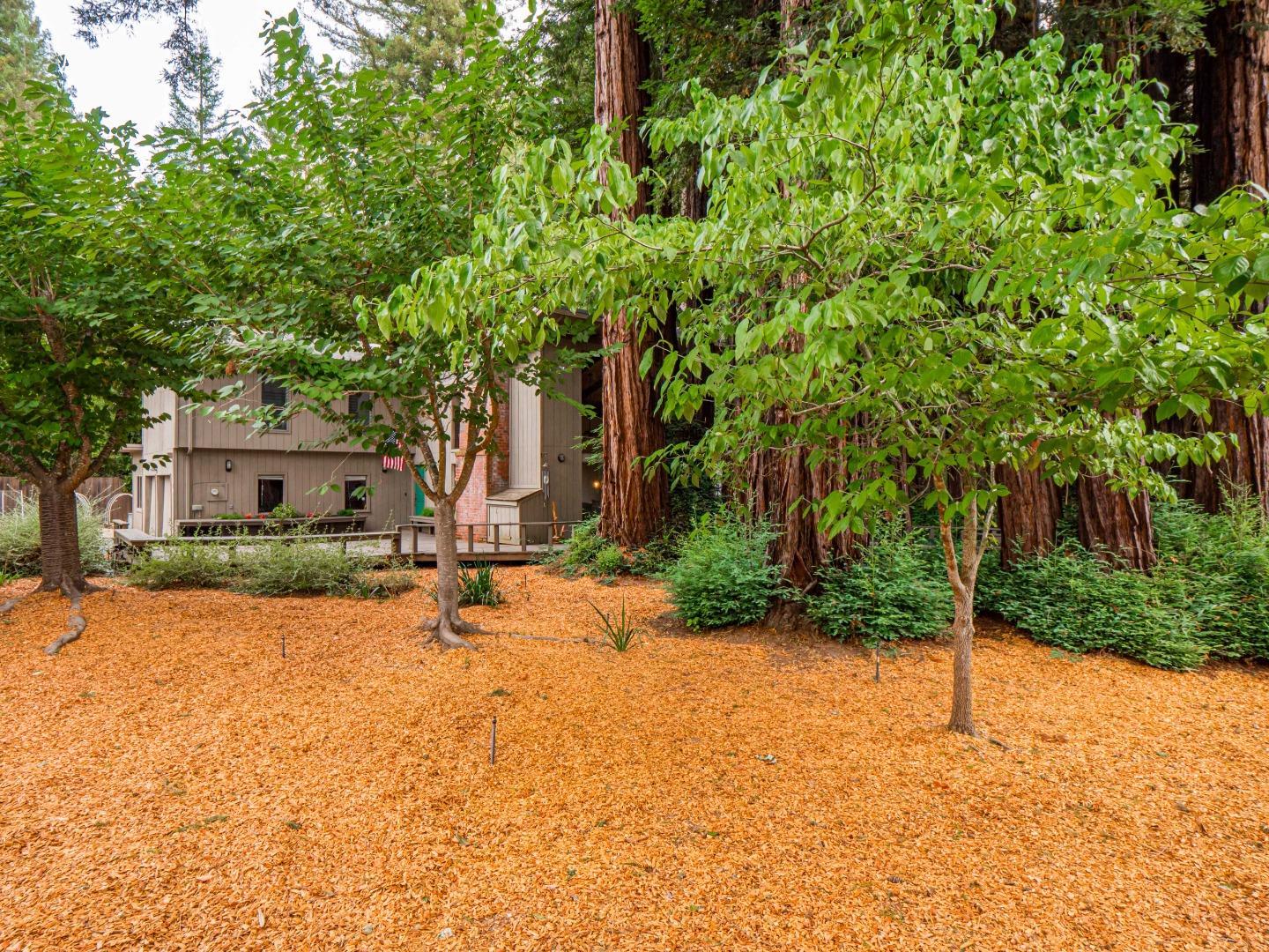 Detail Gallery Image 44 of 52 For 251 Sunnycroft Rd, Ben Lomond,  CA 95005 - 3 Beds | 2/1 Baths