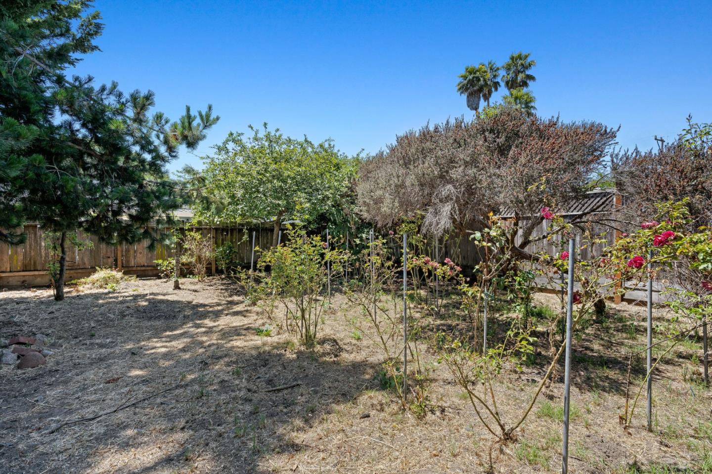 Detail Gallery Image 6 of 11 For 1024 Webster St, Santa Cruz,  CA 95062 - 4 Beds | 4 Baths