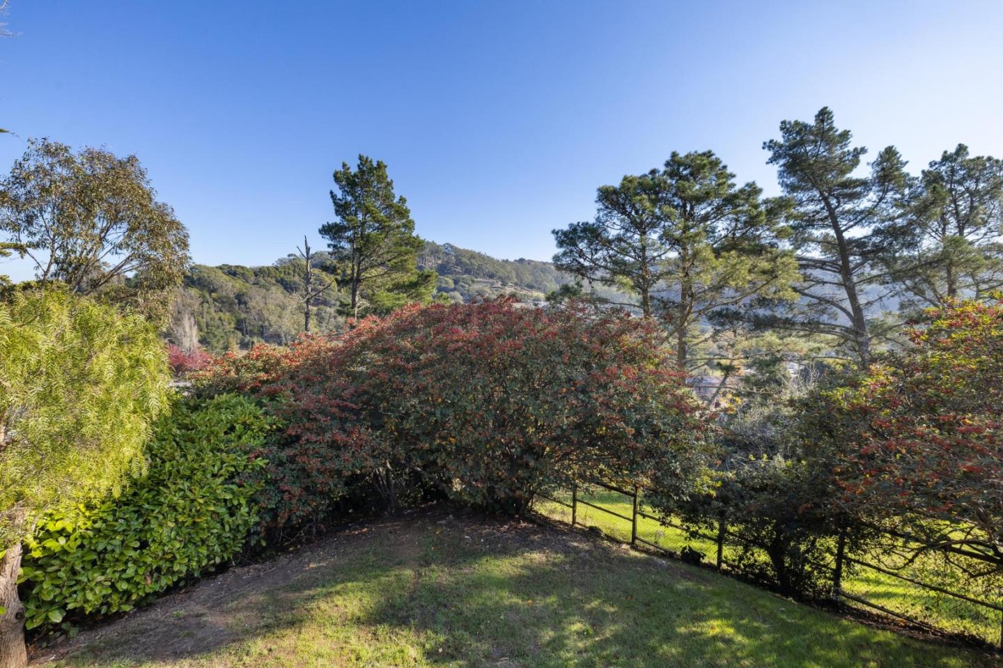 Detail Gallery Image 48 of 122 For 329 Richardson Way, Mill Valley,  CA 94941 - 2 Beds | 2 Baths
