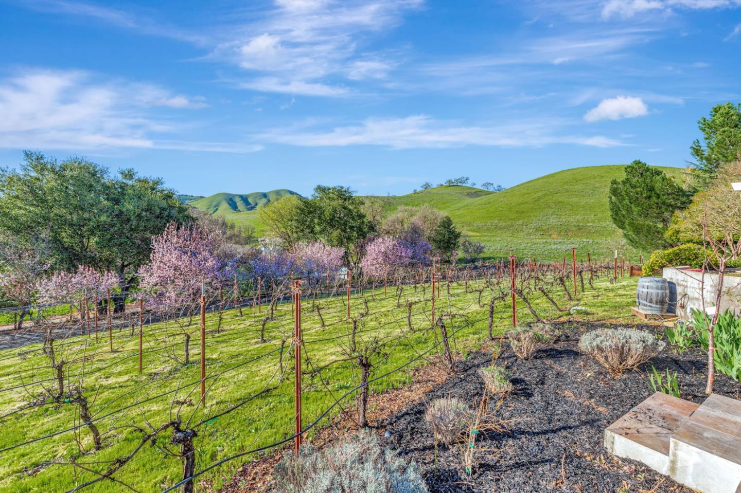 Detail Gallery Image 32 of 72 For 10260 Lucky Ct, Gilroy,  CA 95020 - 4 Beds | 3 Baths
