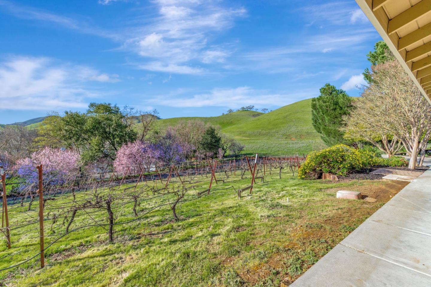Detail Gallery Image 44 of 72 For 10260 Lucky Ct, Gilroy,  CA 95020 - 4 Beds | 3 Baths