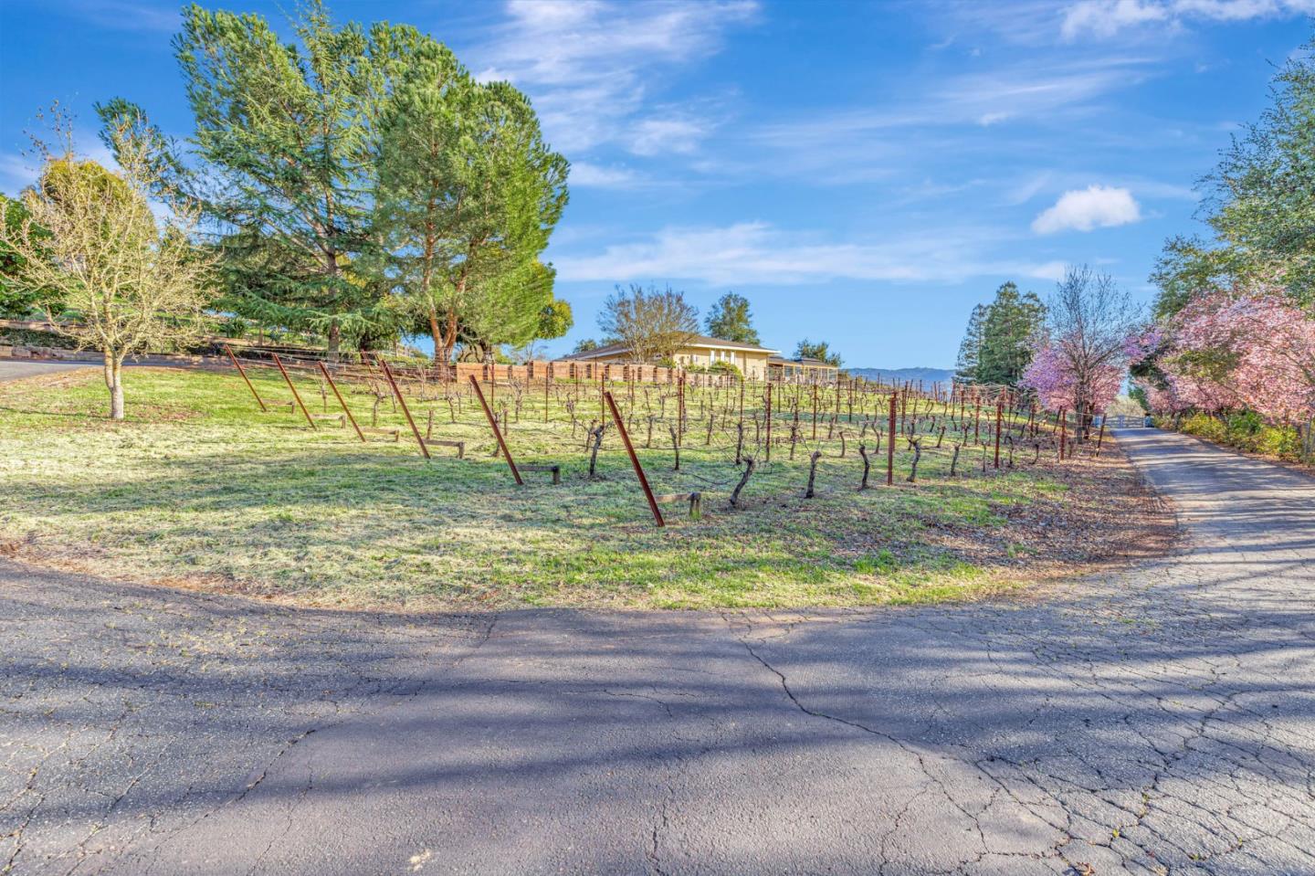 Detail Gallery Image 45 of 72 For 10260 Lucky Ct, Gilroy,  CA 95020 - 4 Beds | 3 Baths