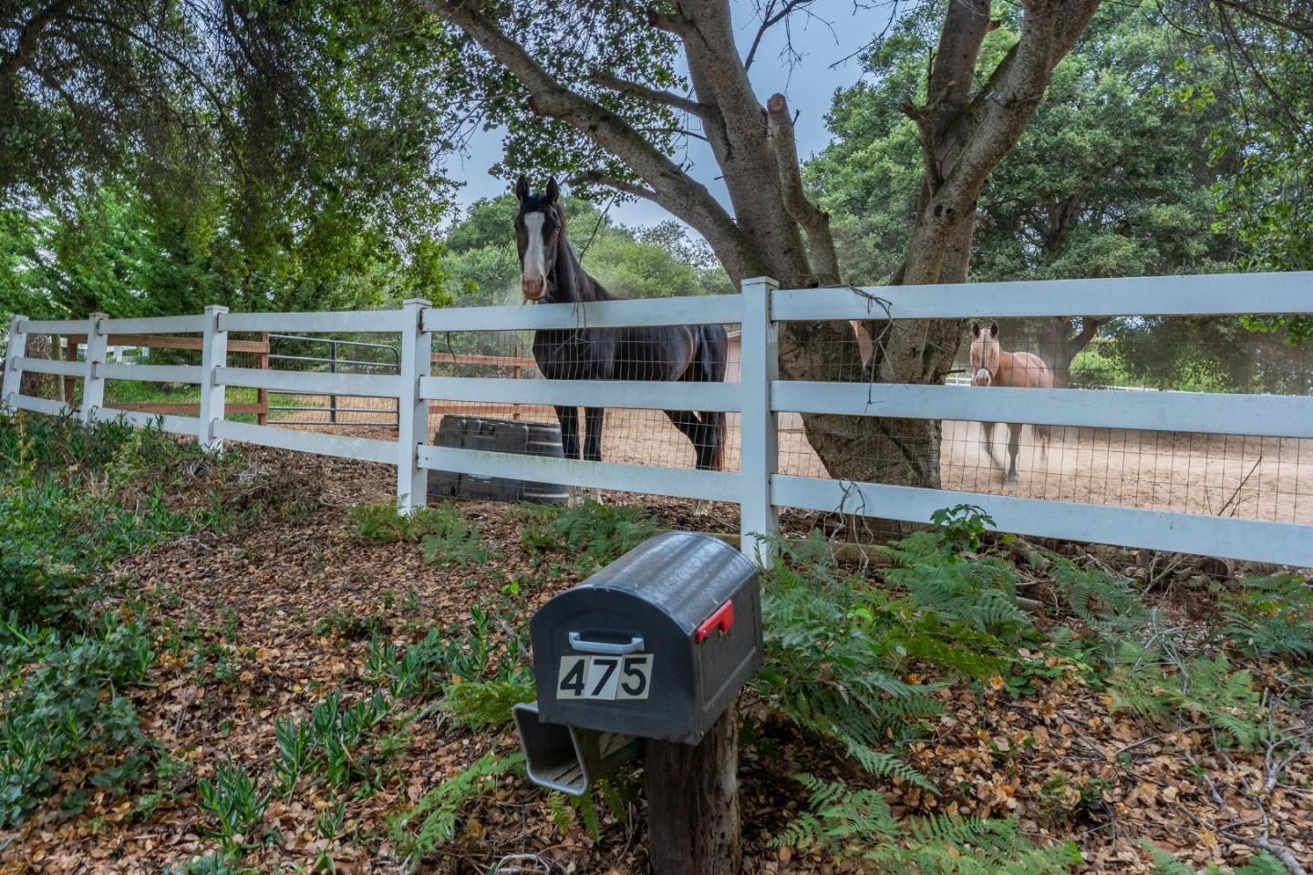 Detail Gallery Image 45 of 45 For 475 Brown Rd, San Juan Bautista,  CA 95045 - 3 Beds | 3 Baths
