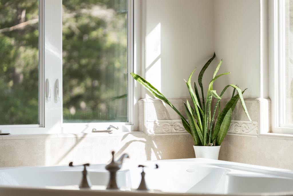 Detail Gallery Image 24 of 49 For 121 Day Valley Ln, Aptos,  CA 95003 - 3 Beds | 3/1 Baths