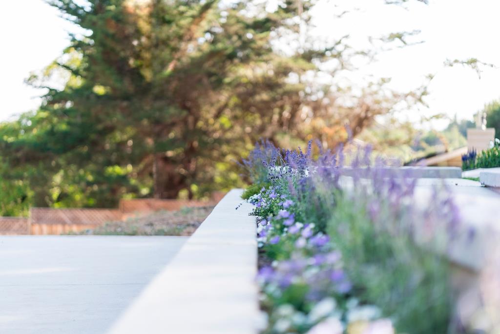 Detail Gallery Image 36 of 49 For 121 Day Valley Ln, Aptos,  CA 95003 - 3 Beds | 3/1 Baths