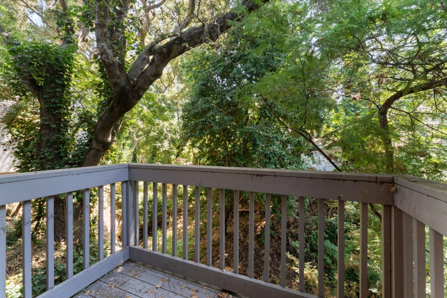 Detail Gallery Image 20 of 36 For 17-25 Devonshire Blvd, San Carlos,  CA 94070 - – Beds | – Baths