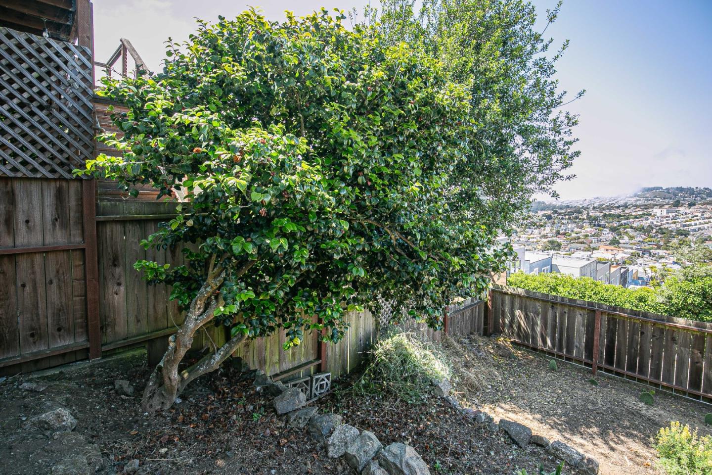 Detail Gallery Image 81 of 92 For 224 Shields St, San Francisco,  CA 94132 - 2 Beds | 4 Baths