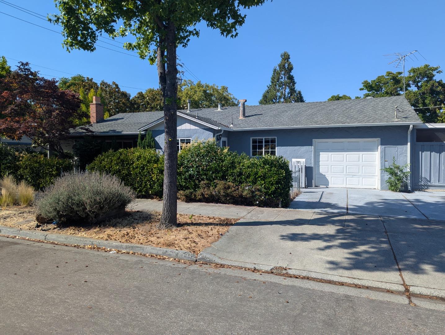 Detail Gallery Image 1 of 8 For 1686 Mercy St, Mountain View,  CA 94041 - 2 Beds | 1 Baths