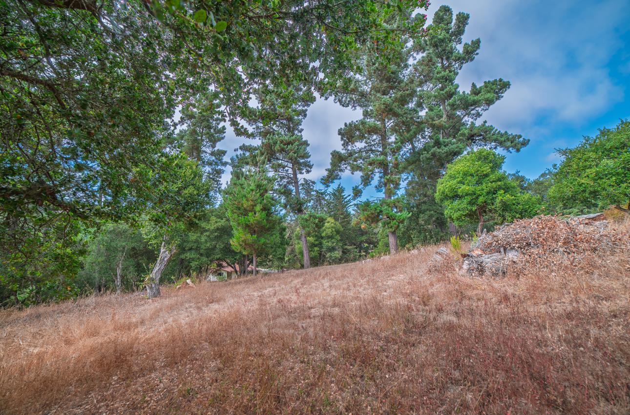 Detail Gallery Image 77 of 81 For 20210 Wilder Ct, Salinas,  CA 93907 - 4 Beds | 2/1 Baths