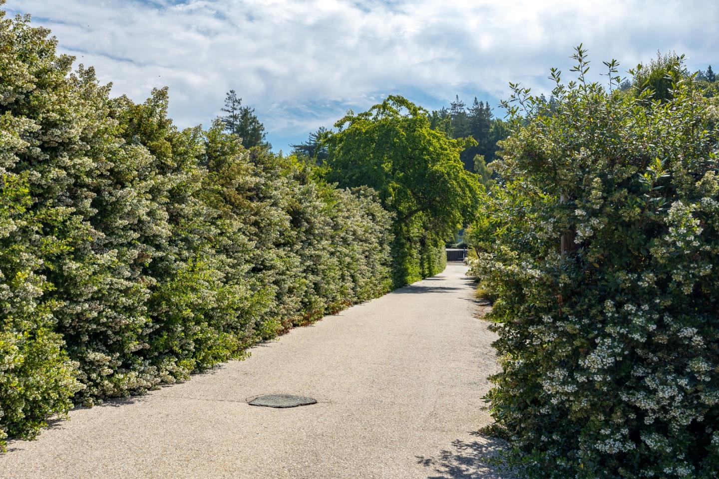 Detail Gallery Image 81 of 92 For 3625 N Main St, Soquel,  CA 95073 - 4 Beds | 4 Baths