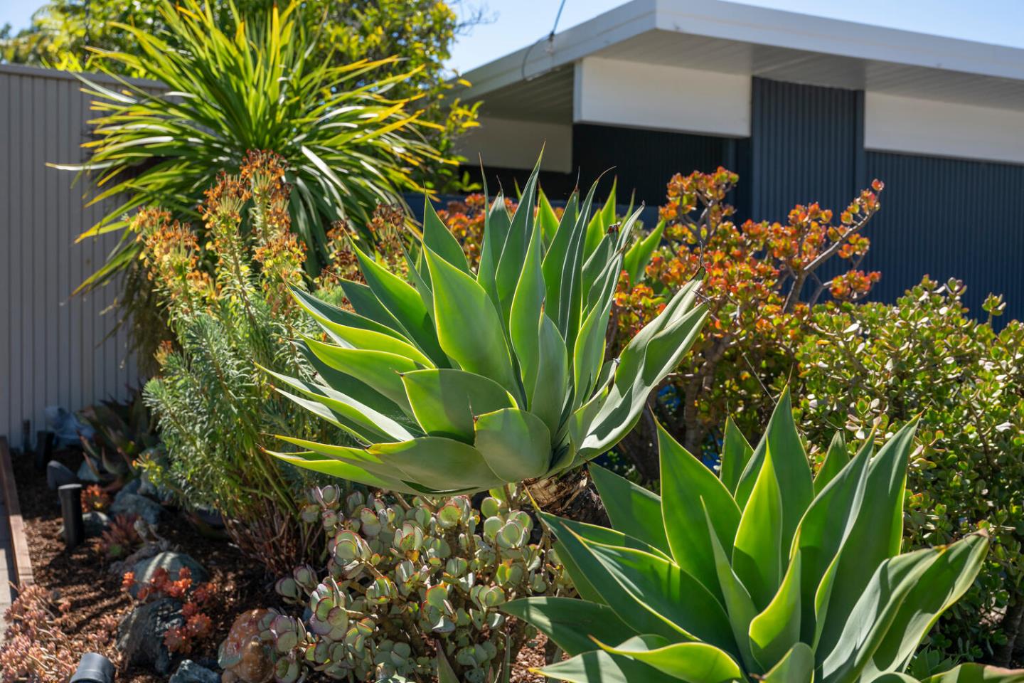 Detail Gallery Image 49 of 59 For 1652 Lexington Ave, San Mateo,  CA 94402 - 3 Beds | 3 Baths