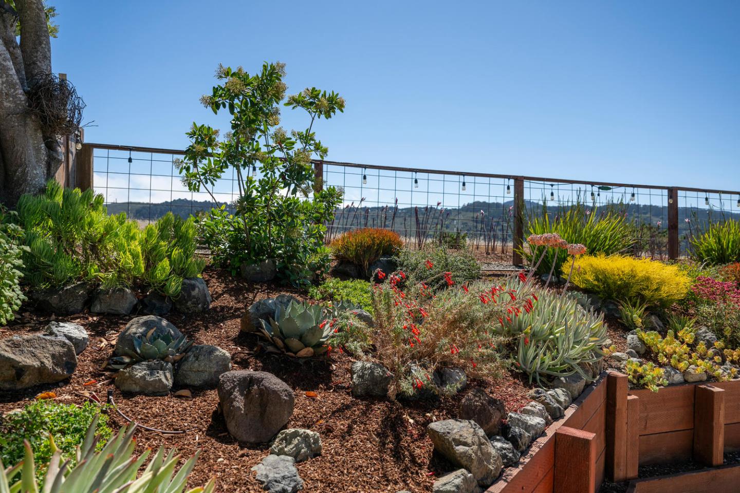 Detail Gallery Image 56 of 59 For 1652 Lexington Ave, San Mateo,  CA 94402 - 3 Beds | 3 Baths