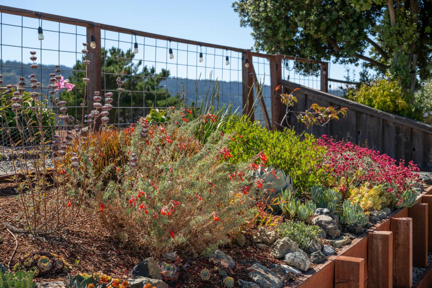 Detail Gallery Image 58 of 59 For 1652 Lexington Ave, San Mateo,  CA 94402 - 3 Beds | 3 Baths