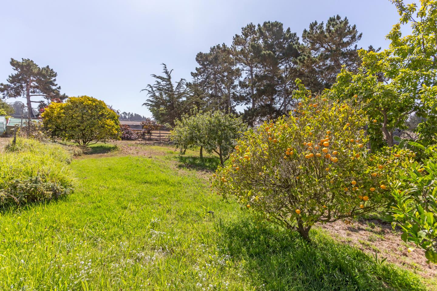 Detail Gallery Image 37 of 65 For 125 Springfield Rd, Moss Landing,  CA 95039 - 4 Beds | 4 Baths