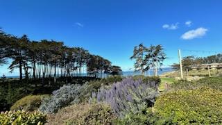 Detail Gallery Image 5 of 13 For 117 Seascape Resort Dr, Aptos,  CA 95003 - 1 Beds | 1 Baths