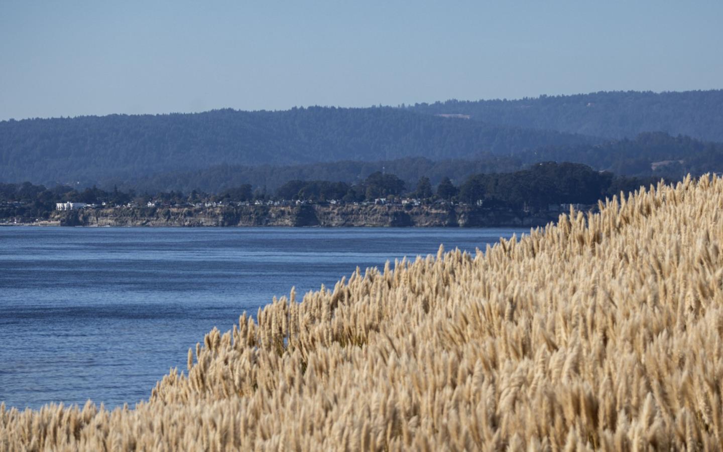 Detail Gallery Image 8 of 13 For 117 Seascape Resort Dr, Aptos,  CA 95003 - 1 Beds | 1 Baths