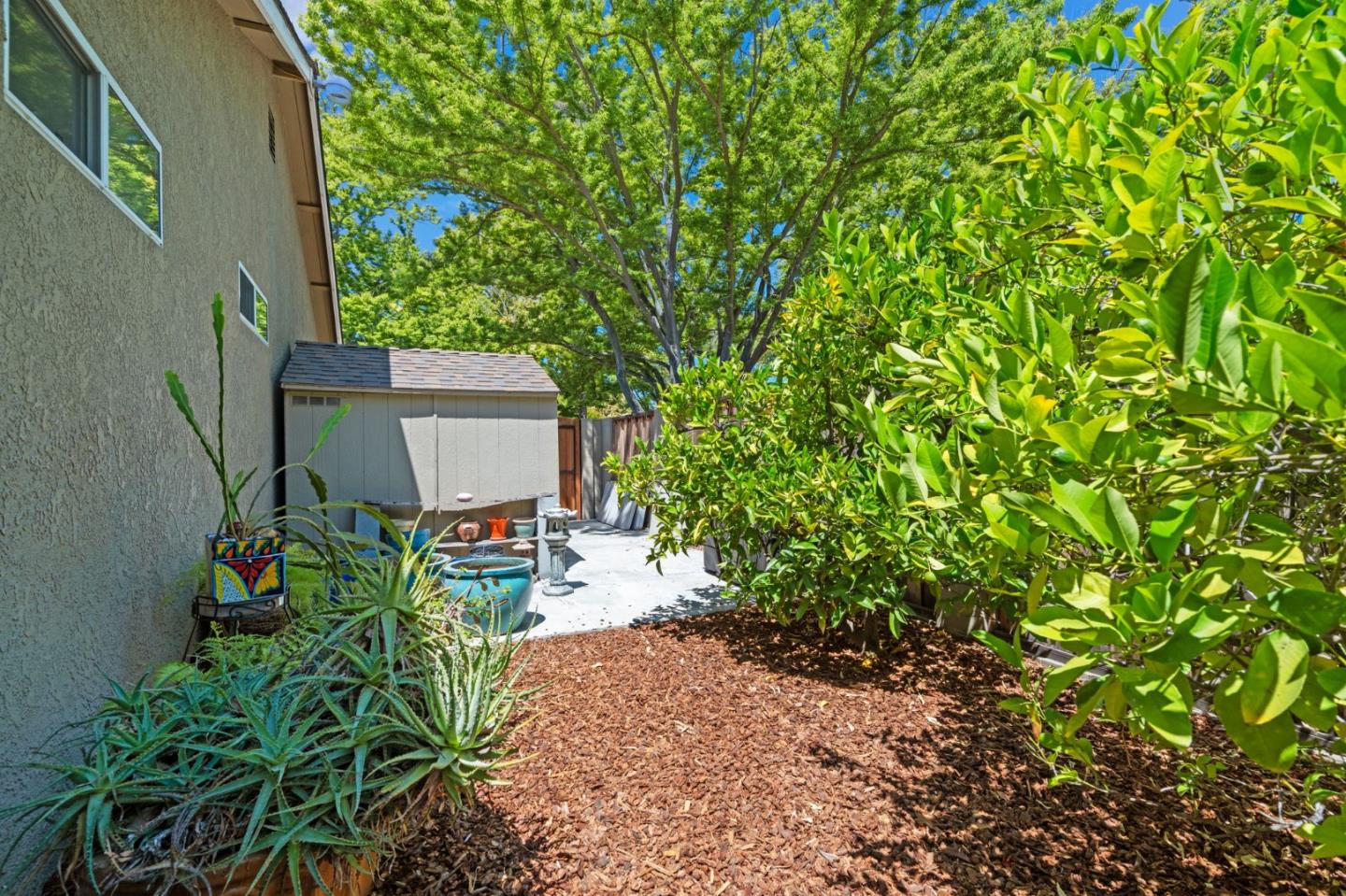 Detail Gallery Image 35 of 46 For 6230 Mahan Dr, San Jose,  CA 95123 - 3 Beds | 2 Baths