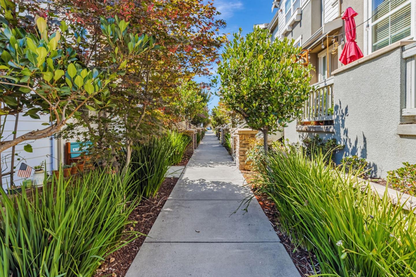 Detail Gallery Image 8 of 24 For 18424 Jade Ln, Morgan Hill,  CA 95037 - 3 Beds | 2/1 Baths